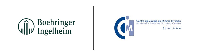 bi_&_cmi_logo